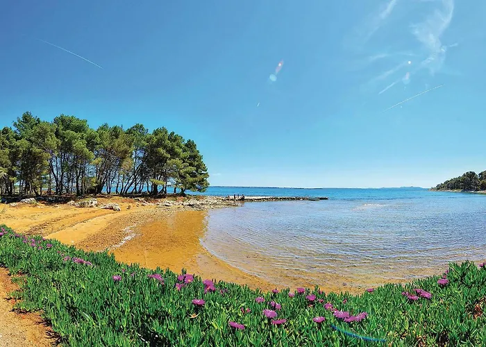 Beautiful In Vikendica *